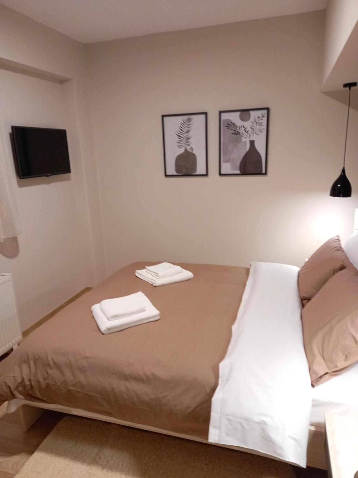 Novos Guesthouse Meteora Каламбака Номер фото